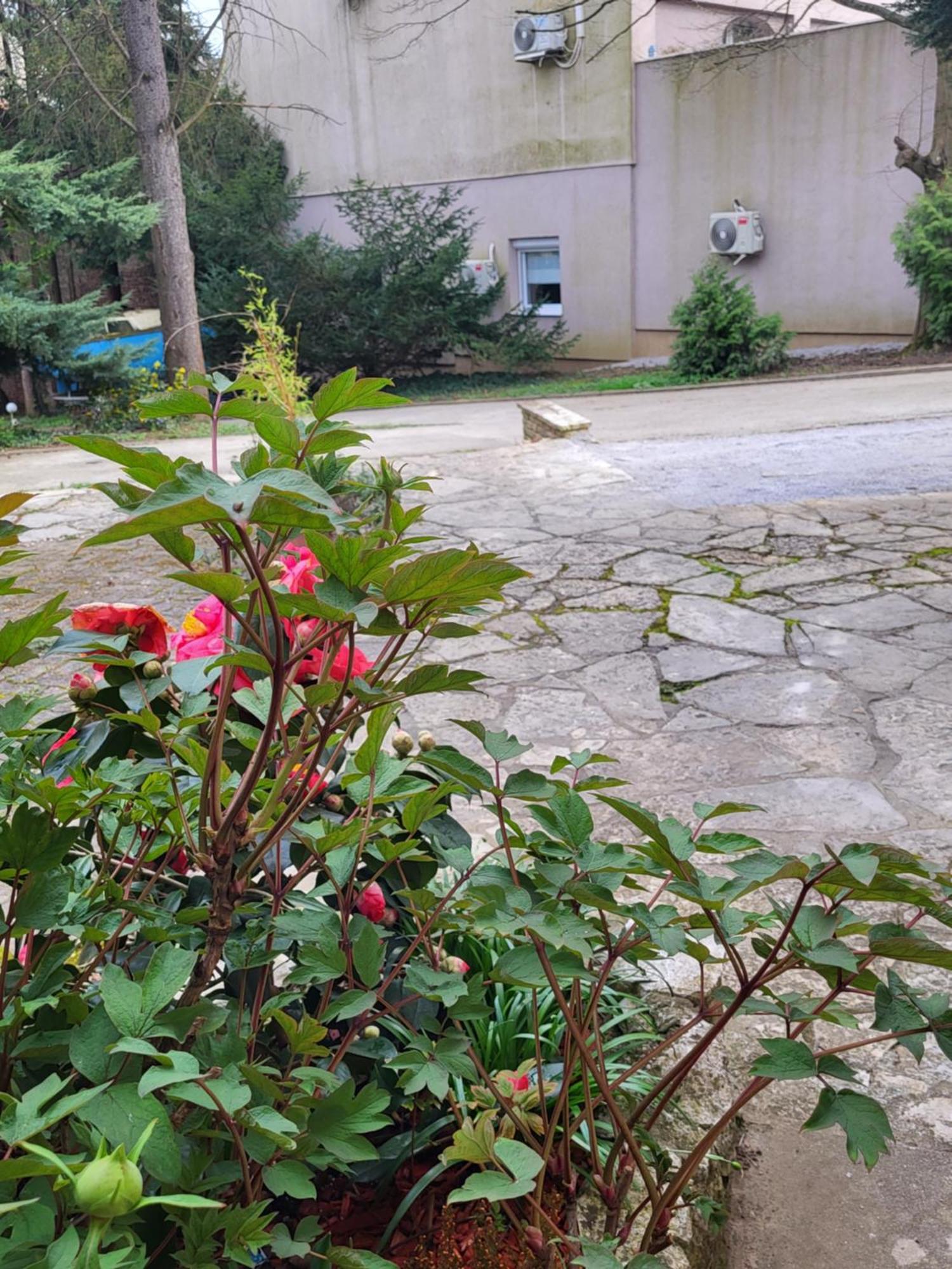 Villa Vino & Grad Ζάγκρεμπ Εξωτερικό φωτογραφία