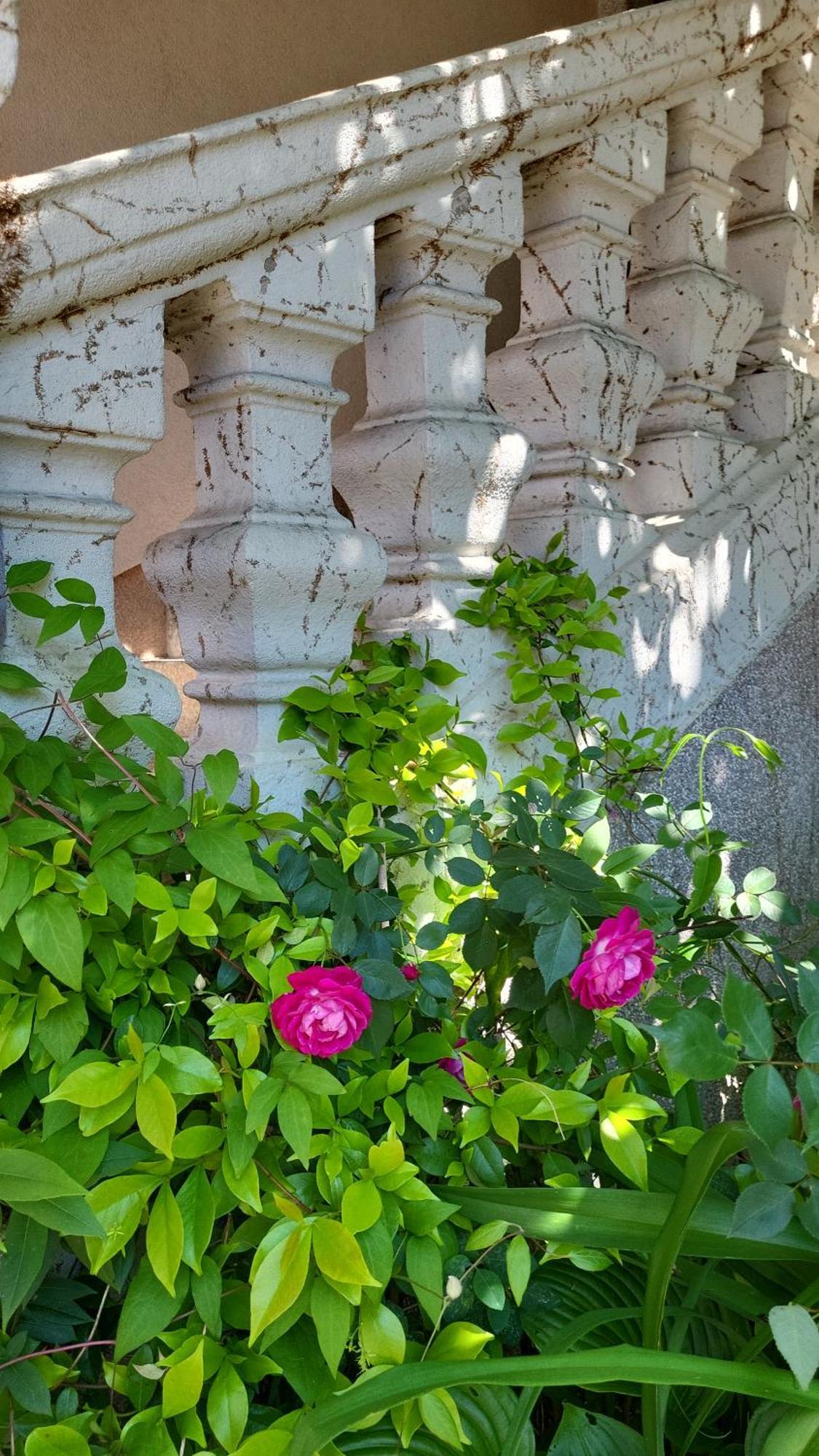 Villa Vino & Grad Ζάγκρεμπ Εξωτερικό φωτογραφία